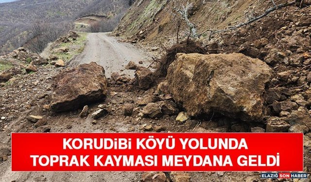 Korudibi Köyü Yolunda Toprak Kayması Meydana Geldi
