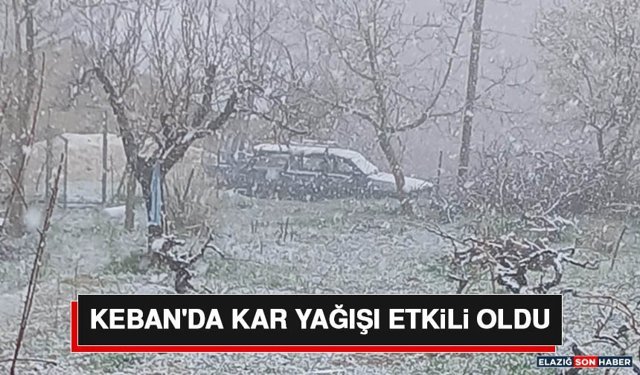 Keban'da Kar Yağışı Etkili Oldu