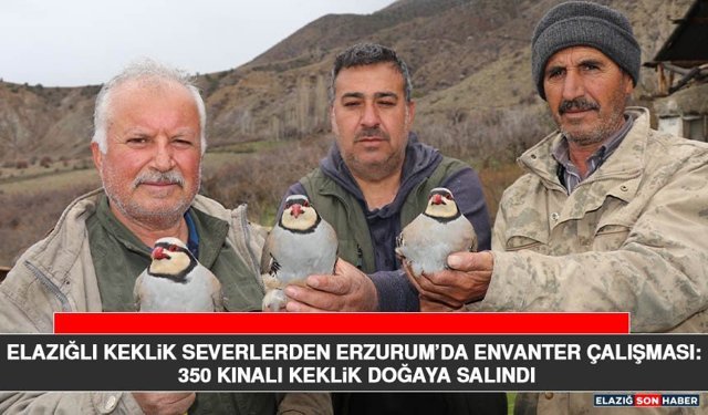 Elazığlı Keklik Severlerden Erzurum’da Envanter Çalışması: 350 Kınalı Keklik Doğaya Salındı