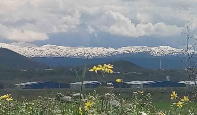 Bingöl'de doğa iki mevsimi aynı karede buluşturdu