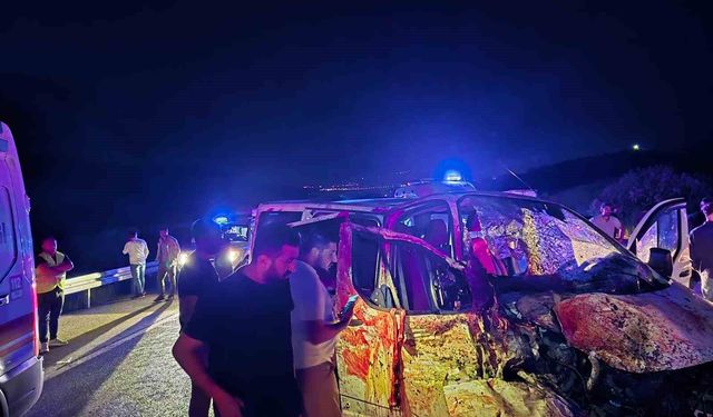 Bingöl'de panelvan yola çıkan ata çarptı: 1 ölü, 2 yaralı