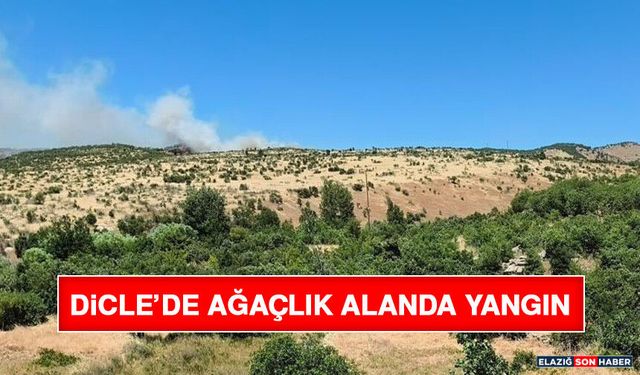 Dicle’de Ağaçlık Alanda Yangın