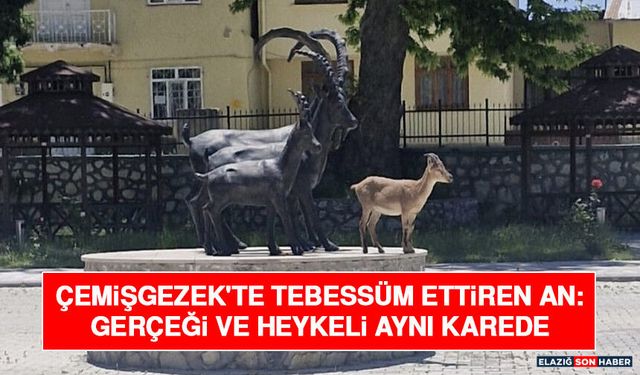 Çemişgezek'te Tebessüm Ettiren An: Gerçeği ve Heykeli Aynı Karede