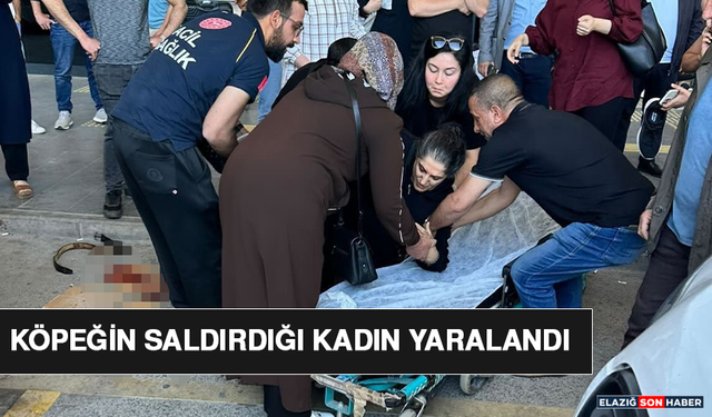 Köpeğin Saldırdığı Kadın Yaralandı