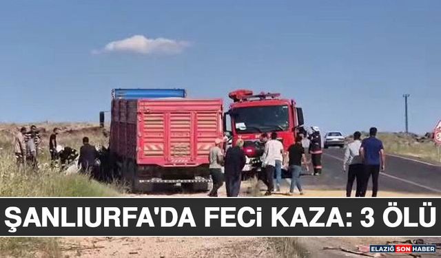 Şanlıurfa'da Feci Kaza: 3 Ölü