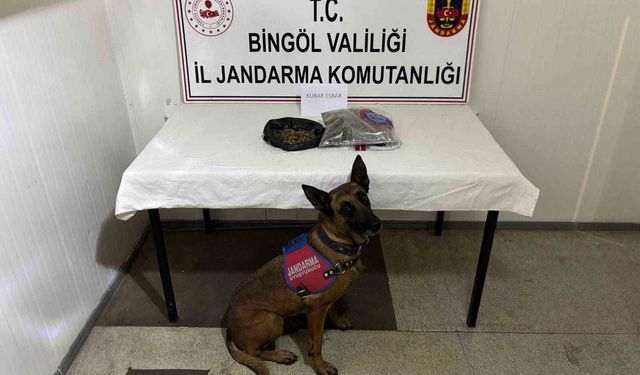 Bingöl'de haklarında kesinleşmiş hapis cezası bulunan 4 zanlı tutuklandı