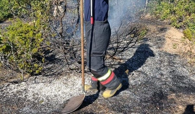Bingöl'de yol kenarında çıkan yangın söndürüldü