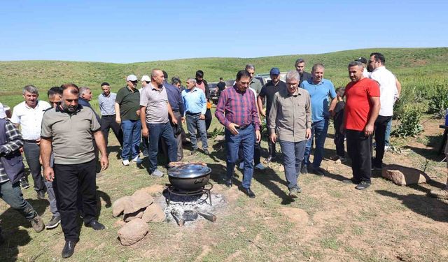 Bir zamanlar güvenlik nedeniyle kullanılamayan yaylalar, bugün hayvancılığın merkezi oldu