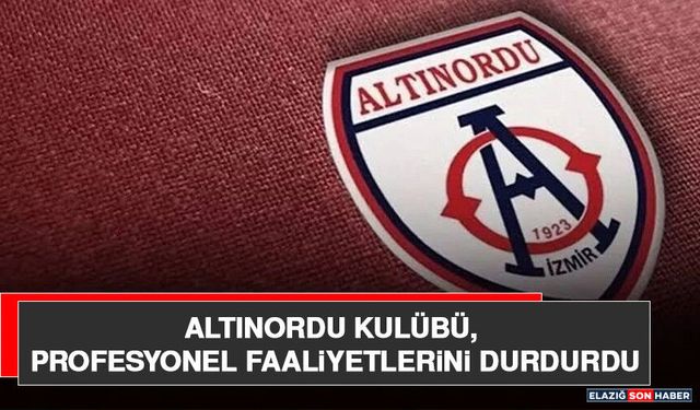 Altınordu Kulübü, Profesyonel Faaliyetlerini Durdurdu