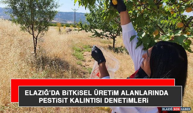 Elazığ’da Bitkisel Üretim Alanlarında Pestisit Kalıntısı Denetimleri
