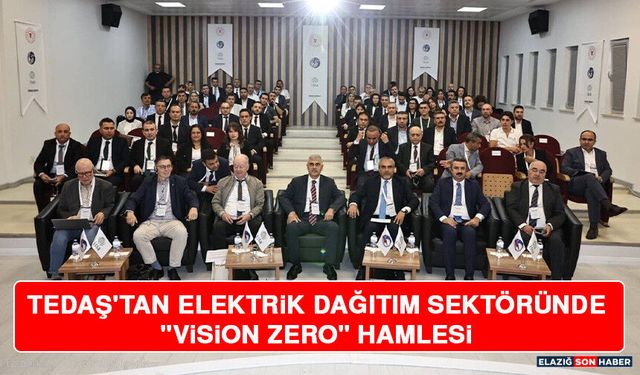 TEDAŞ'tan Elektrik Dağıtım Sektöründe "Vision Zero" Hamlesi