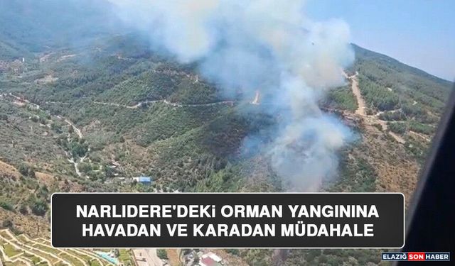 Narlıdere'deki Orman Yangınına Havadan ve Karadan Müdahale