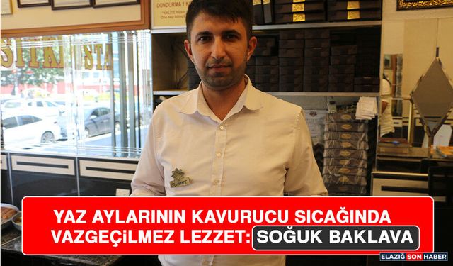 Yaz Aylarının Kavurucu Sıcağında Vazgeçilmez Lezzet: Soğuk Baklava