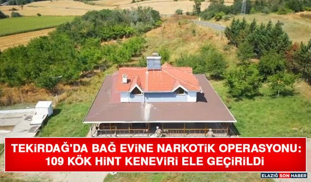 Tekirdağ'da Bağ Evine Narkotik Operasyonu: 109 Kök Hint Keneviri Ele Geçirildi