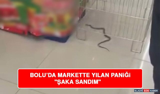 Bolu’da Markette Yılan Paniği "Şaka Sandım"