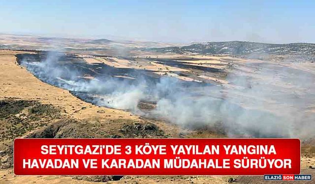 Seyitgazi'de 3 Köye Yayılan Yangına Havadan ve Karadan Müdahale Sürüyor