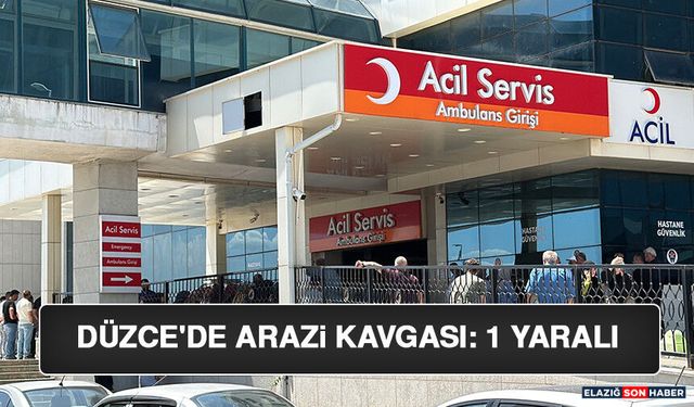 Düzce'de Arazi Kavgası: 1 Yaralı