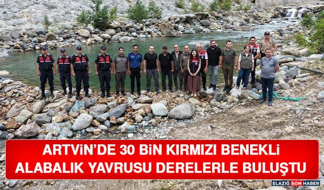 Artvin’de 30 Bin Kırmızı Benekli Alabalık Yavrusu Derelerle Buluştu