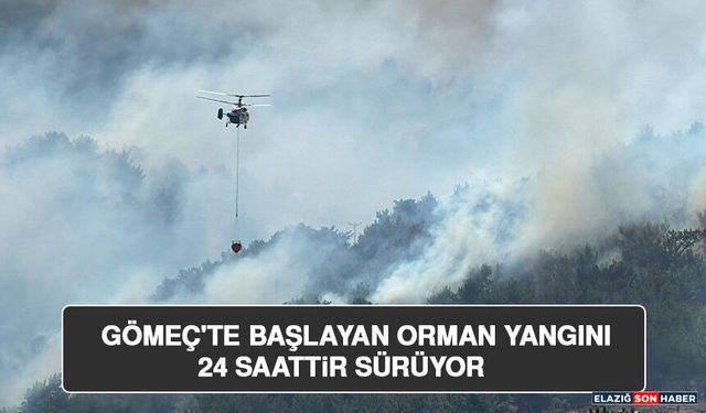 Gömeç'te Başlayan Orman Yangını 24 Saattir Sürüyor