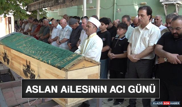 Aslan Ailesinin Acı Günü