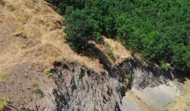 Bingöl'de nesli tükenme tehlikesi altında dağ keçisi görüntülendi
