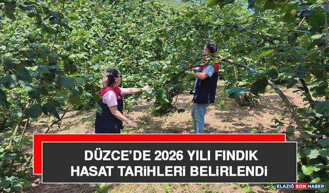 Düzce’de 2026 Yılı Fındık Hasat Tarihleri Belirlendi