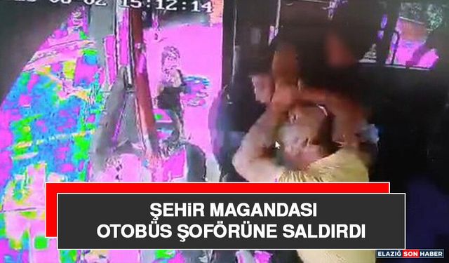 Şehir Magandası Otobüs Şoförüne Saldırdı