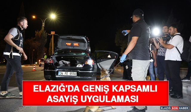 Elazığ'da Geniş Kapsamlı Asayiş Uygulaması