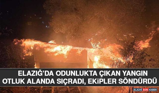Elazığ’da Odunlukta Çıkan Yangın Otluk Alanda Sıçradı, Ekipler Söndürdü