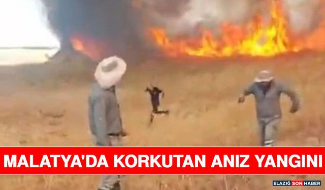 Malatya'da Korkutan Anız Yangını