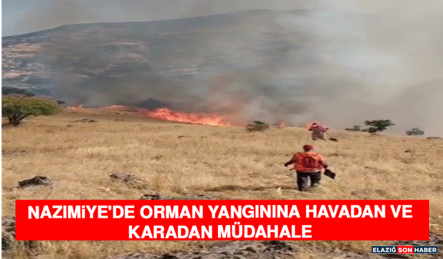 Nazımiye'de Orman Yangınına Havadan Ve Karadan Müdahale