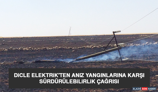 Dicle Elektrik'ten Anız Yangınlarına Karşı Sürdürülebilirlik Çağrısı