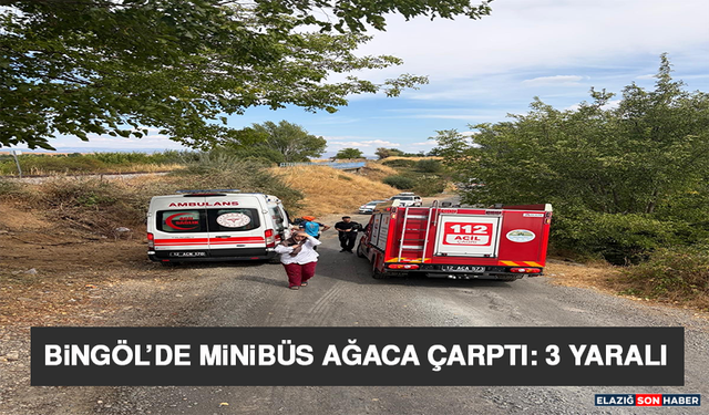 Bingöl’de Minibüs Ağaca Çarptı: 3 Yaralı
