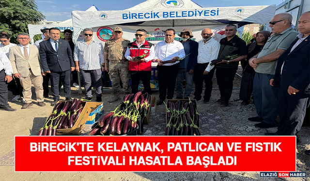 Birecik'te Kelaynak, Patlıcan Ve Fıstık Festivali Hasatla Başladı