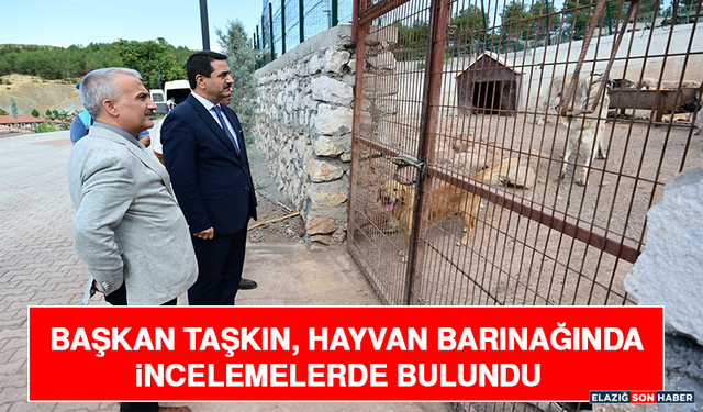 Başkan Taşkın, Hayvan Barınağında İncelemelerde Bulundu