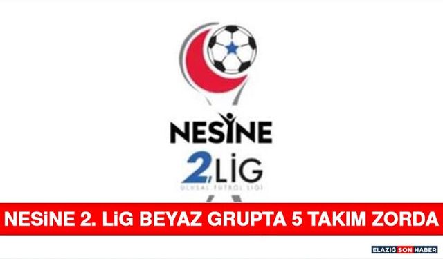 Nesine 2. Lig Beyaz Grupta 5 Takım Zorda