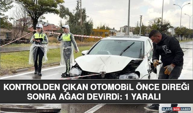 Kontrolden Çıkan Otomobil Önce Direği Sonra Ağacı Devirdi: 1 Yaralı