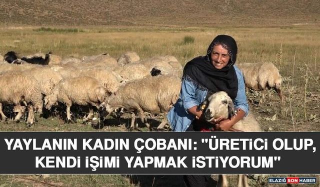 Yaylanın Kadın Çobanı: "Üretici Olup, Kendi İşimi Yapmak İstiyorum"