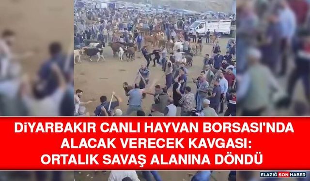 Diyarbakır Canlı Hayvan Borsası'nda Alacak Verecek Kavgası: Ortalık Savaş Alanına Döndü