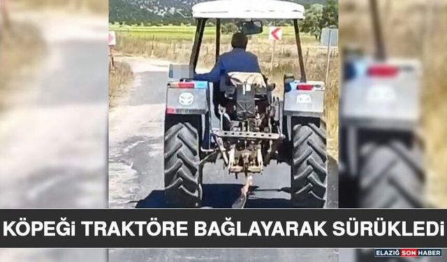 Köpeği Traktöre Bağlayarak Sürükledi