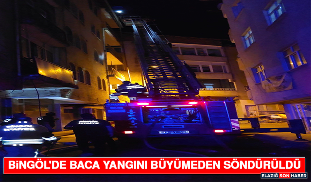 Bingöl'de Baca Yangını Büyümeden Söndürüldü