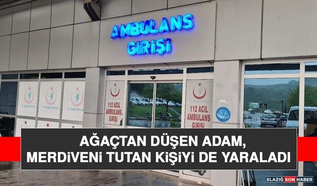 Ağaçtan Düşen Adam, Merdiveni Tutan Kişiyi de Yaraladı
