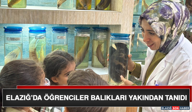 Elazığ’da Öğrenciler Balıkları Yakından Tanıdı