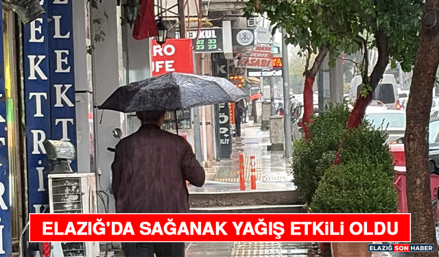 Elazığ'da Sağanak Yağış Etkili Oldu