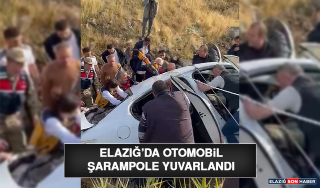 Elazığ’da Otomobil Şarampole Yuvarlandı