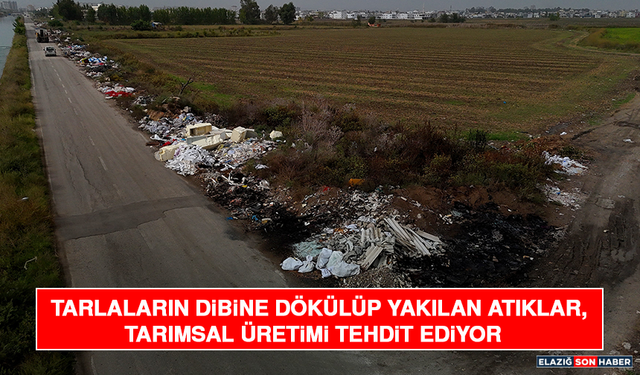 Tarlaların Dibine Dökülüp Yakılan Atıklar, Tarımsal Üretimi Tehdit Ediyor