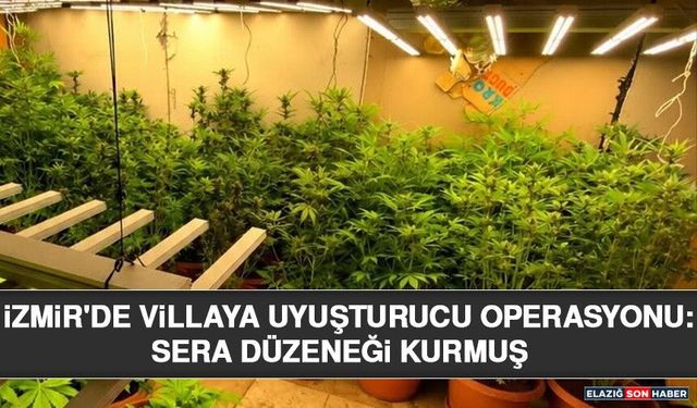 İzmir'de Villaya Uyuşturucu Operasyonu: Sera Düzeneği Kurmuş