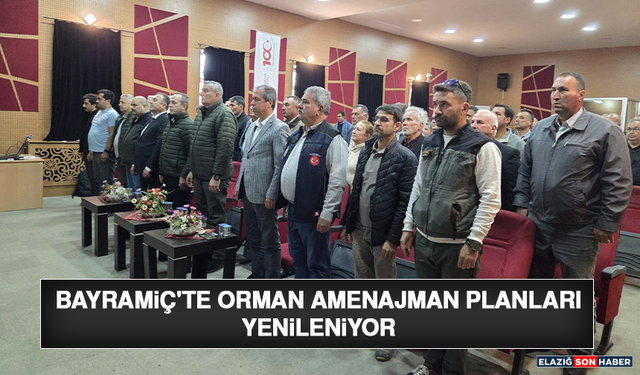 Bayramiç'te Orman Amenajman Planları Yenileniyor
