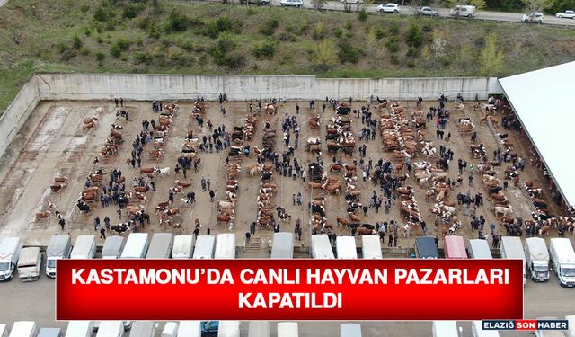 Kastamonu’da Canlı Hayvan Pazarları Kapatıldı