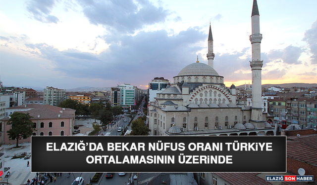 Elazığ’da Bekâr Nüfus Oranı Türkiye Ortalamasının Üzerinde